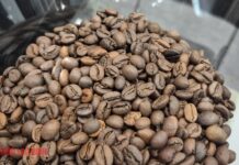 Today’s Coffee Prices (Nov 4): A Sharp Surge