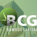 Bamboo Capital to Hold Extraordinary Shareholders’ Meeting, Anticipating Mass Leadership Dismissals