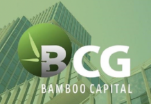 Bamboo Capital to Hold Extraordinary Shareholders’ Meeting, Anticipating Mass Leadership Dismissals