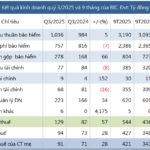 BIDV Insurance Reports 23% Surge in Net Profit for First Nine Months
