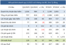 BIDV Insurance Reports 23% Surge in Net Profit for First Nine Months