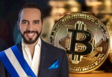El Salvador’s President Defies Market Fear, Announces Successful Purchase of 1,098 Bitcoin at the Bottom
