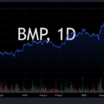 Leading Industry Stock Surges to Historic High Ahead of 65% Cash Dividend Payout