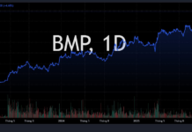 Leading Industry Stock Surges to Historic High Ahead of 65% Cash Dividend Payout