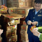 Latest Insights on Counterfeit Goods: Essential Knowledge for Every Consumer