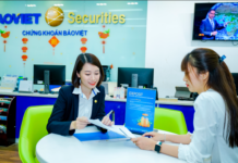 Baoviet Securities Announces 8% Cash Dividend Payout Date