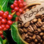 Tens of Thousands of Tons of Vietnam’s “Billion-Dollar Commodity” Flooding into the U.S. Neighbor: Vietnam Secures Global No. 2 Position