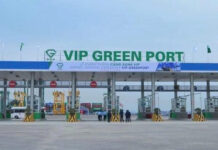 Viconship Set to Receive Nearly VND 90 Billion in Dividends from Green Port Vip
