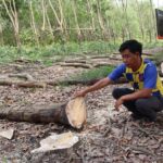 Over 300 Billion VND Allocated for Land Clearance of HCMC – Thu Dau Mot – Chon Thanh Expressway in Dong Nai