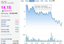 Novaland Shares Surge with Explosive Liquidity Amid a Wave of Positive News
