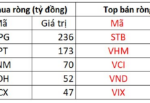 Foreign Block Continues Net Selling Spree, Offloading Nearly 1 Trillion VND as VN-Index Surges, with Heavy Dumping of a Banking Stock