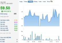 Upcoming Dividend Payout of VND 2,000 per Share Sparks Strong Rally in Stock Price