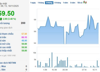 Upcoming Dividend Payout of VND 2,000 per Share Sparks Strong Rally in Stock Price