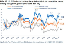 FiinGroup Unveils Undervalued Stocks Trading Below 5-Year Average