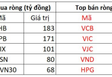 Foreign Block Buys Nearly VND 600 Billion as VN-Index Surges: Which Stocks Were Scooped Up the Most?