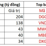 Foreign Investors Continue Net Selling Over 700 Billion VND in Session 19/11, Blue-Chip Stocks Hit Hard by Heavy Selling