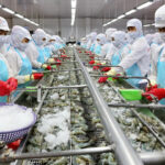 No Weekend Breaks: Seafood Companies Struggle to Recruit Workers