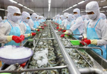 No Weekend Breaks: Seafood Companies Struggle to Recruit Workers