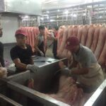 Year-End Pig Prices Unlikely to Surge Dramatically