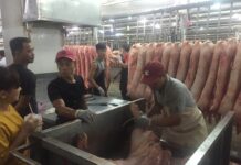 Year-End Pig Prices Unlikely to Surge Dramatically