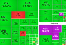 November 13th Stock Market: Will Blue-Chip Stocks Continue to Lead the Market?