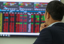 Stock Market Investments Hit Rock Bottom