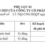 CNG Revises 2025 Profit Forecast Downward
