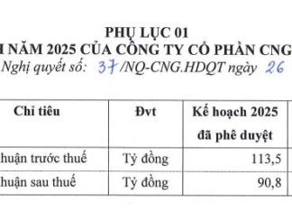 CNG Revises 2025 Profit Forecast Downward