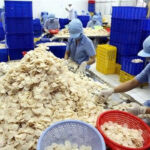 What is Vinh Hoan’s Subsidiary Planning to Do with Nearly VND 465 Billion in Capital Raising?