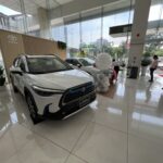 Stalled Sales: Many Car Models Facing Sluggish Demand