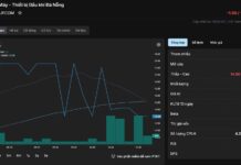 What Does a Company Say When Its Stock Hits the Upper Limit for Five Consecutive Sessions?