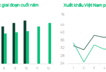 Dragon Capital: Robust Profits Amid Market Corrections