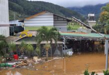 Urgent Landslide Mitigation Underway on Critical Mountain Passes in Lâm Đồng