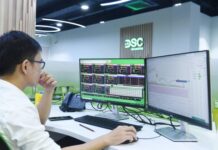 Chairman Nguyen Duc Anh Opts Out of DSC’s Share Offering