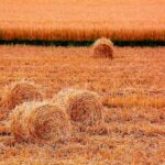 Unlocking Vietnam’s 100 Million Ton Annual “Gold Mine” Potential