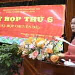 Critical Decision on Cat Lai and Phu My 2 Bridges Connecting Dong Nai and Ho Chi Minh City