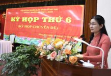 Critical Decision on Cat Lai and Phu My 2 Bridges Connecting Dong Nai and Ho Chi Minh City