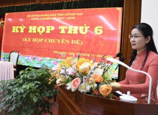 Critical Decision on Cat Lai and Phu My 2 Bridges Connecting Dong Nai and Ho Chi Minh City