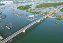 Panoramic View of the 1,400-Hectare Island Proposed for Urban Development in Ho Chi Minh City