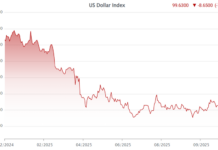 USD Price Remains Steadily High