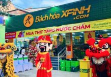 Bach Hoa Xanh Expands Northward, Launching 20 Stores Simultaneously in This Province