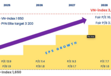 PYN Elite Fund Propels VN-Index to 3,200 Points