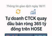 Proprietary Trading Firms Reverse Course, Offloading Hundreds of Billions in Vietnamese Stocks on November 18th: Which Stock Takes Center Stage?