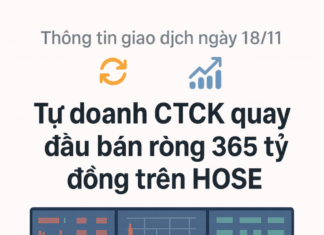 Proprietary Trading Firms Reverse Course, Offloading Hundreds of Billions in Vietnamese Stocks on November 18th: Which Stock Takes Center Stage?