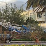 Typhoon No. 13 Wreaks Havoc in Gia Lai: What’s the Fate of Bầu Đức’s Banana Farm?