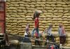 Asian Rice Export Prices Under Pressure as Weak Demand Meets Rising Supply