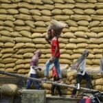 Asian Rice Export Prices Under Pressure as Weak Demand Meets Rising Supply