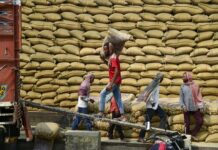 Asian Rice Export Prices Under Pressure as Weak Demand Meets Rising Supply