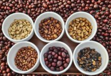 Today’s Coffee Prices (Nov 21): A Sharp Rebound in Rates