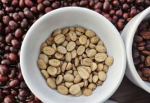 Today’s Coffee Prices (Nov 23): A Week of Turbulence